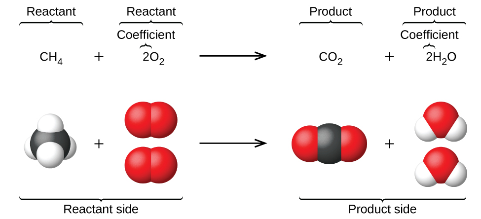 Химическое уравнение реакции метана с кислородом (вверху): \(\ce{CH4 + 2O2 -> CO2 + 2H2O}\). Под уравнением — соответствующие шаростержневые модели: одна молекула метана и две молекулы кислорода превращаются в одну молекулу диоксида углерода и две молекулы воды.