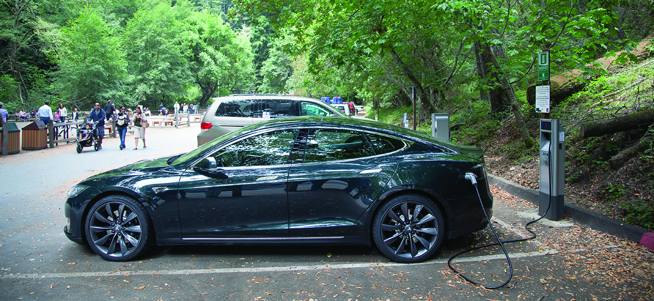 Рис. 16.1. Электромобиль Tesla у зарядной станции на парковке в лесопарковой зоне; кабель соединяет автомобиль с уличным зарядным устройством.