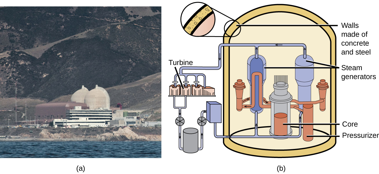 Рис. 20.19. (а) Фотография АЭС Diablo Canyon на побережье в Калифорнии: купольные сооружения — защитные оболочки реакторов, отдельное здание — машинный зал с турбинами; вода для охлаждения берётся из океана. (б) Схема корпусного водо-водяного реактора с двумя контурами теплоносителя: активная зона, парогенераторы, турбина, корпус из стали и бетона.